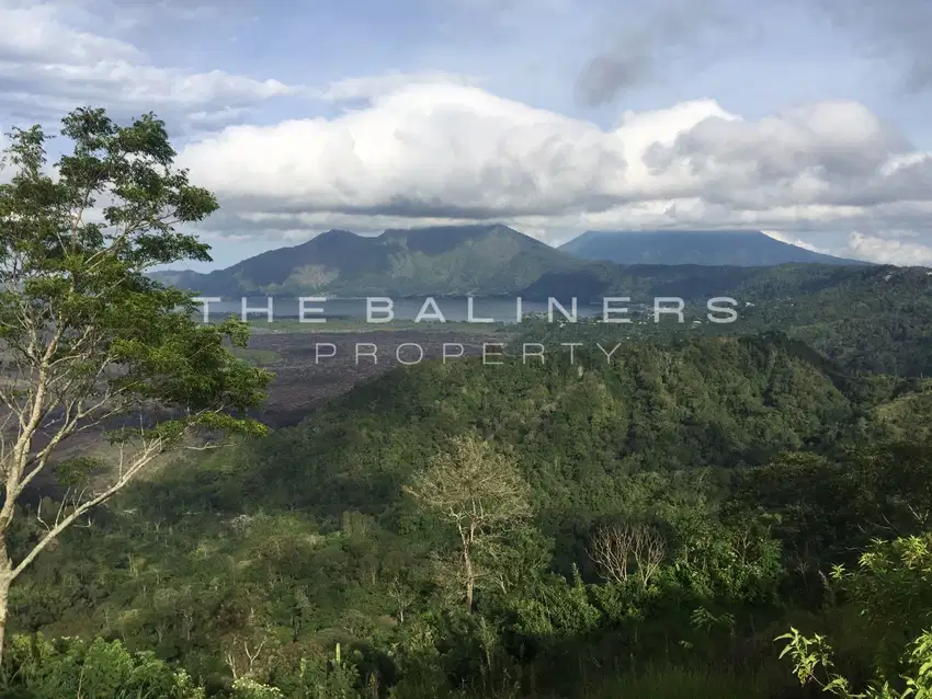 ELEVATED LAND WITH SPECTACULAR VOLCANO VIEW IN KINTAMANI