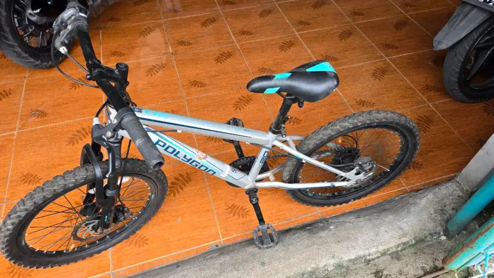Sepeda Polygon Maze 20 Inchi