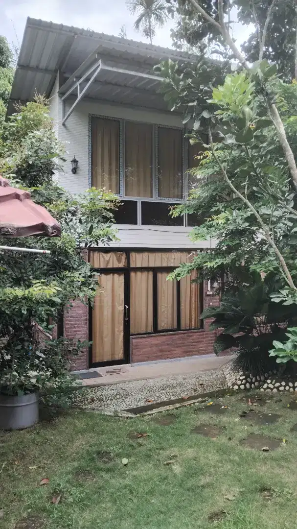 Di jual villa kebun manggis  durian