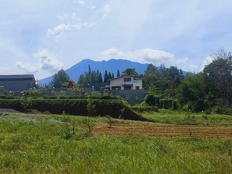Tanah di Puncak Luas 295m² Strategis Dekat exit tol