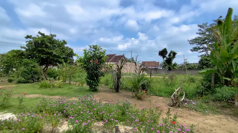 Dijual 7 Kapling Tanah Keras Luas 2241m2