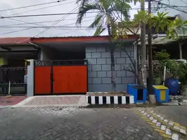 RUNGKUT Baru Renovasi ‼️ Rumah 1 Lantai Griya Pesona Asri dekat UPN