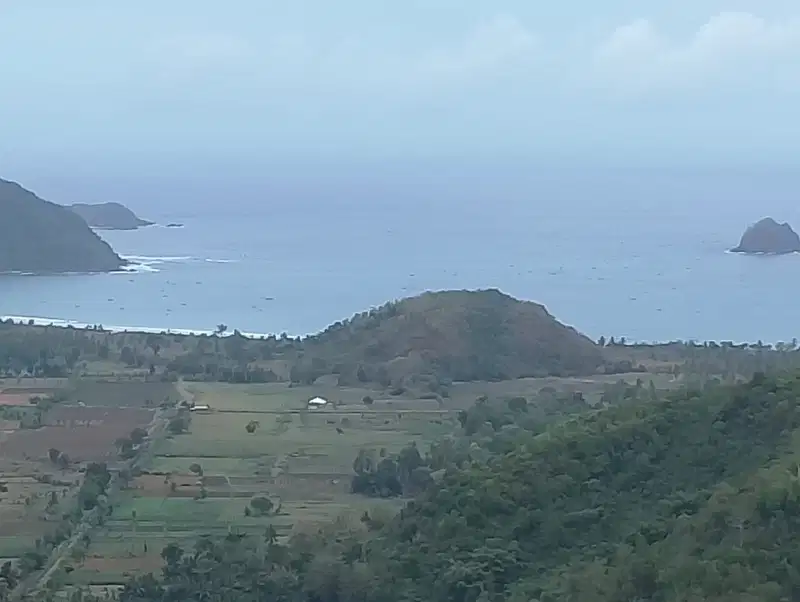 Di jual tanah 28 are di Jabon desa Selong belanak Lombok tengah