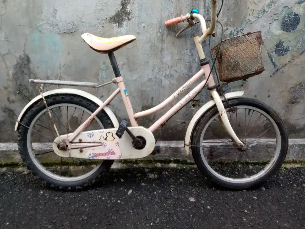 Sepeda Anak merk Evergreen