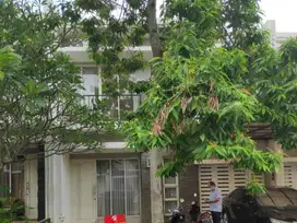 Jual Rumah Siap Huni Bebas Banjir Dekat ke BSD Plaza Siap KPR J-20744