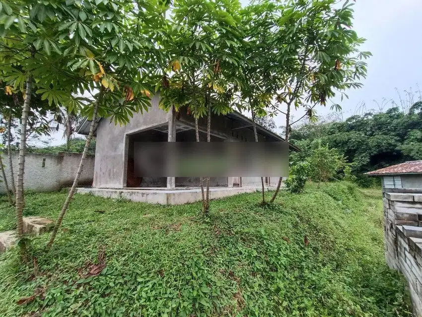 Tanah di Desa ciburuy,Lebak, rangkasbitung