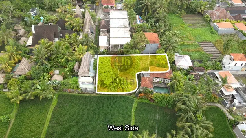 Tanah view Sawah Jl Sanggingan central Ubud