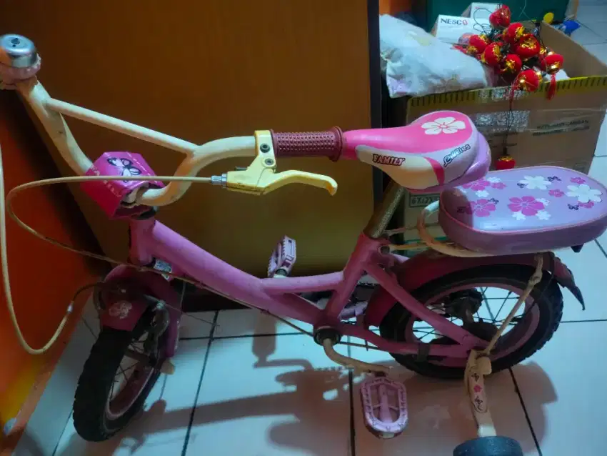 Sepeda anak roda 4