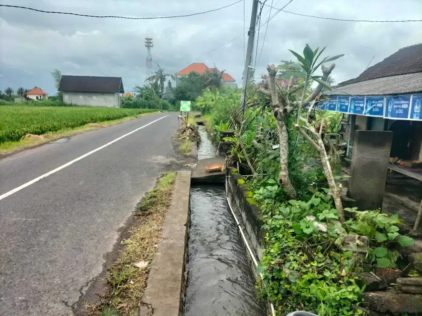 BUC 4 Are Pinggir Jalan Utama View Ocean dan sawah di Pering Gianyar