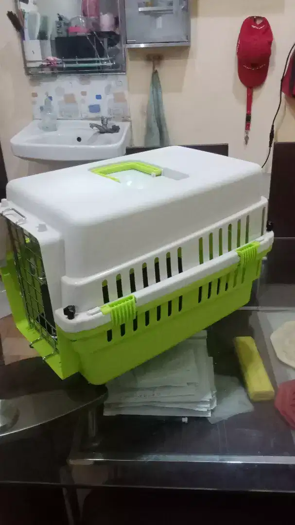 Kennel Box/Pet Cargo ukuran M 50x32x30  Hijau.