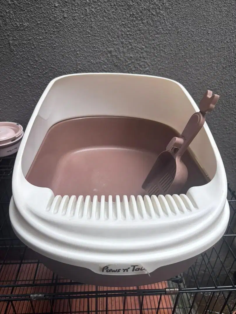Paws n Tails Tempat Pup Kucing