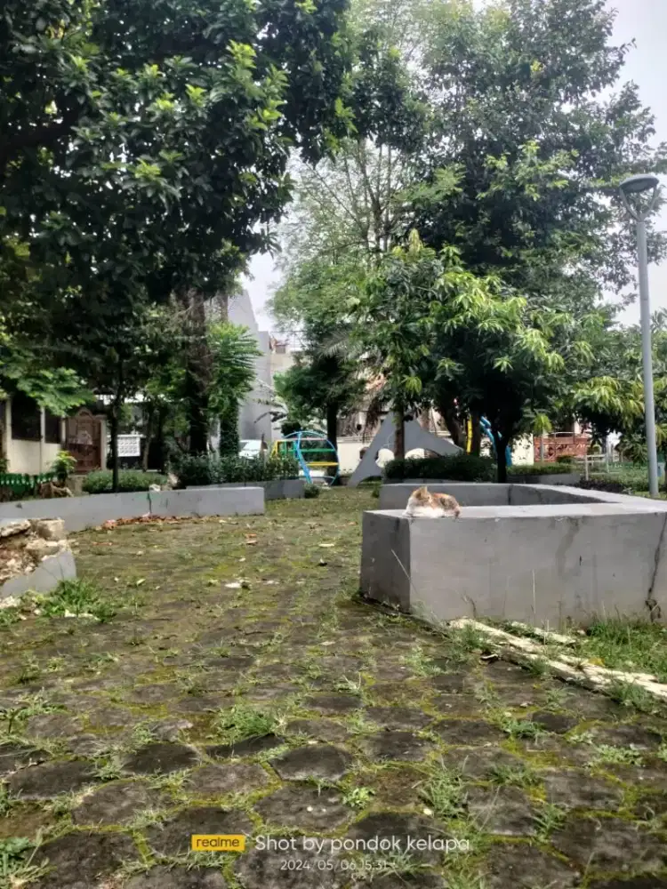 Gypsum taman plafon dan partisi gypsum