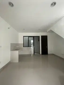 Cluster PIK 2 Milenial