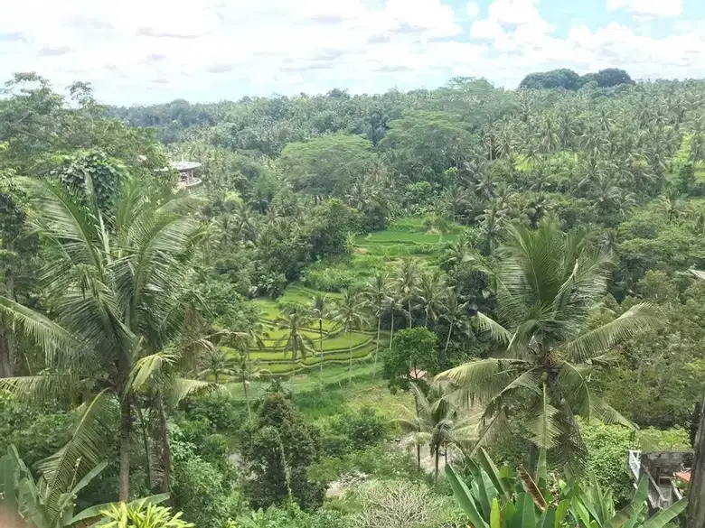 TANAH SUPER LANGKA Central ubud Los sungai ayung full view sawah