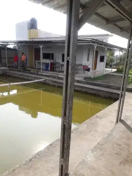Dijual Rumah Fully Furnished dengan kolam ikan, taman, dan saung