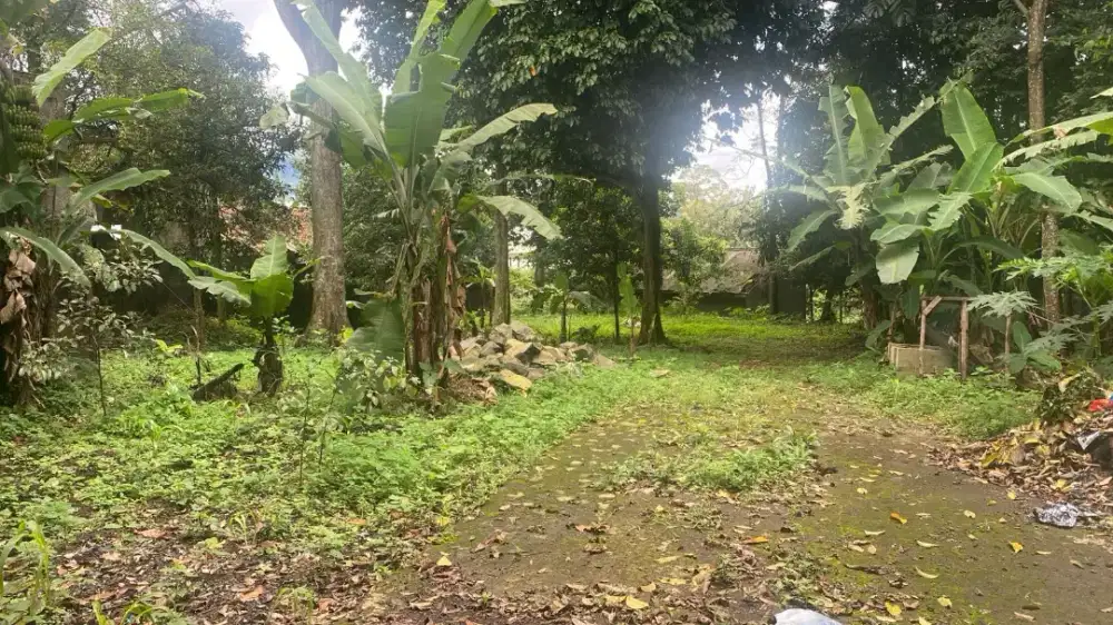 Villa dan tanah kebun 2500 m3