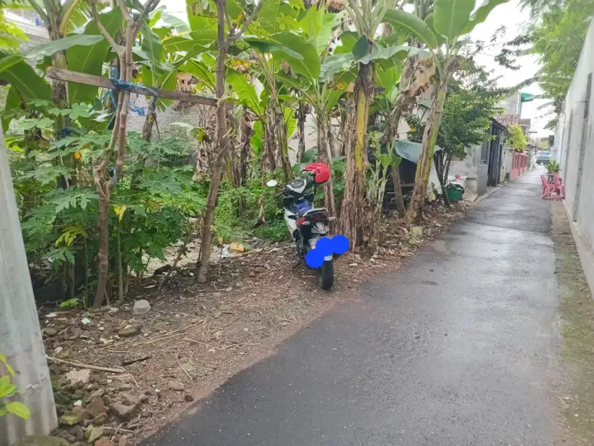 Tanah Banyuanyar cocok untuk rumah kontrakan atau kost.