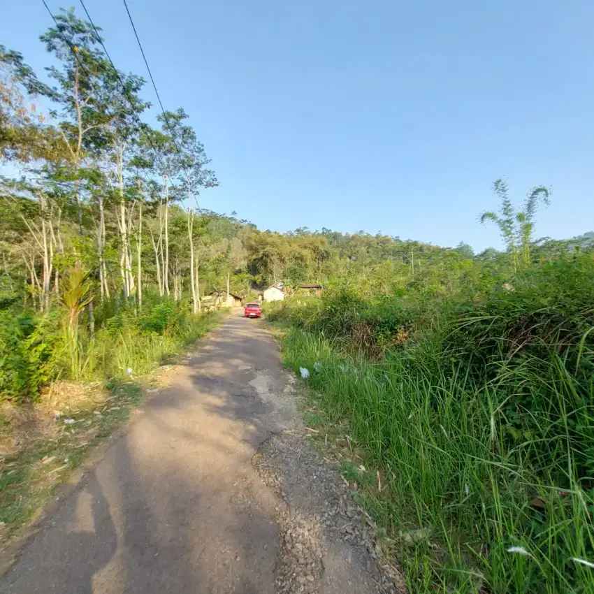Di Jual Tanah Kebun pinggir jalan Desa,View bukit