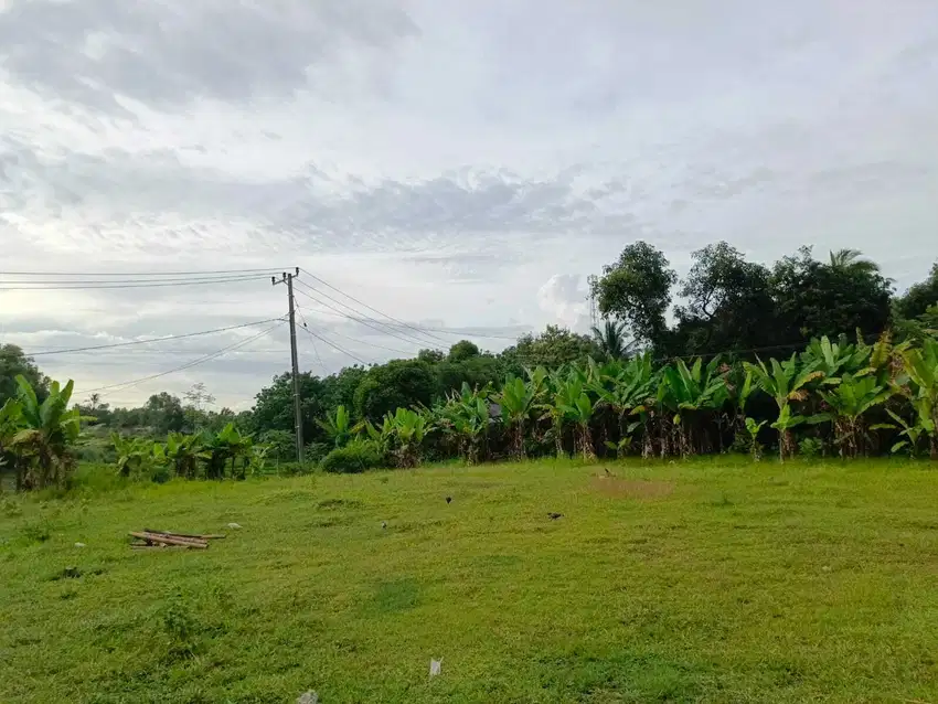500 Rb-an Kavling SHM Area Cibarusah. View Sawah & Bukit