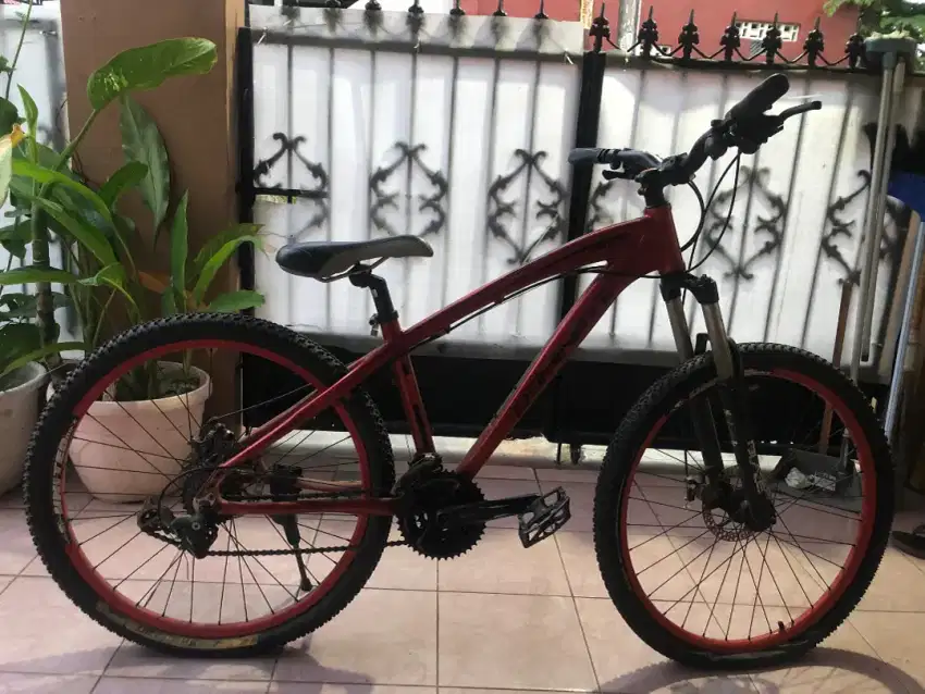 MTB DOMINATE 011 nt polygon