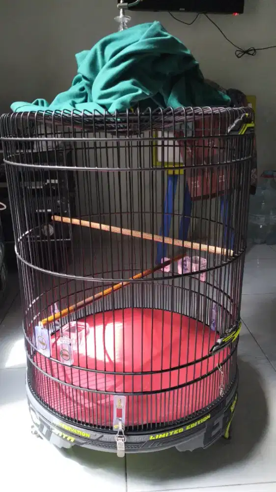 Ebod karbon sporty baru 2 kali pake