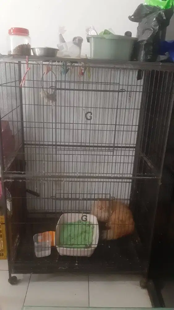 Jual Kandang Kucing Besar. ( Nego )