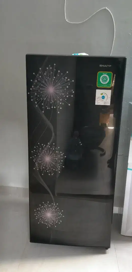 Kulkas Sharp 1pintu