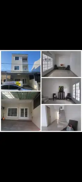 Jual : rumah 3 1/2 lantai , Kelapa Hibrida , Kelapa  Gading