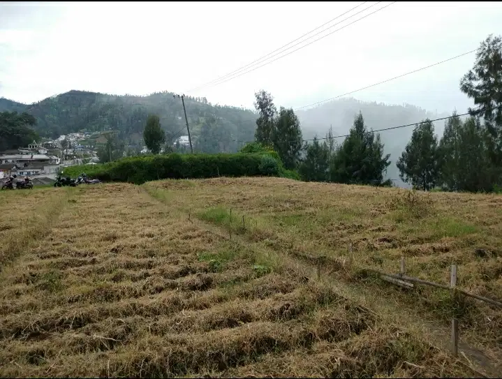Tanah dengan view cantik di Tosari , Bromo