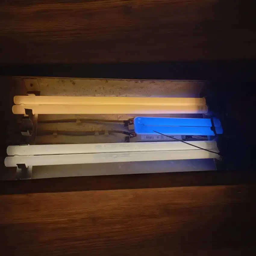 Lampu Tanning PLL 3 Mode Cahaya IKAN HIAS