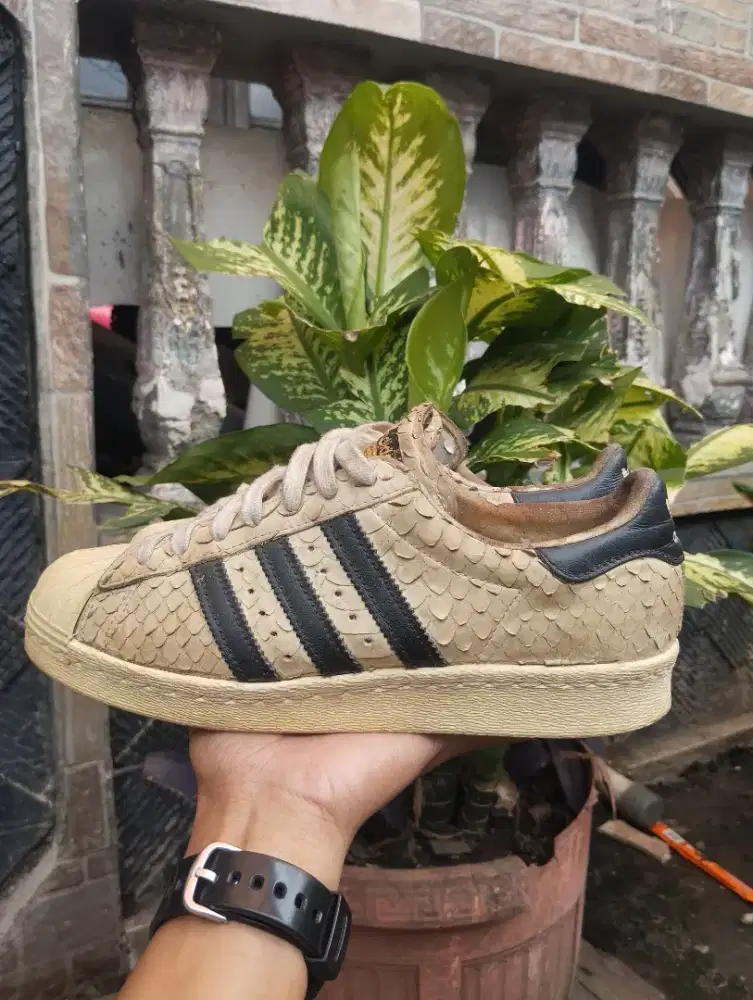 Adidas Superstar