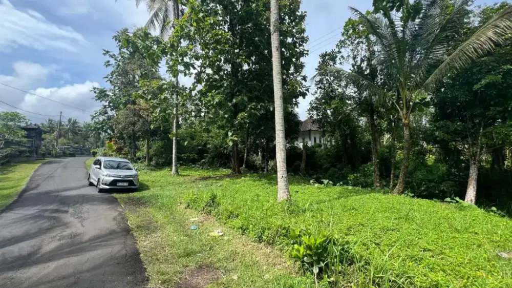 Jual tanah Luas kecil 250 juta global di tabanan bali