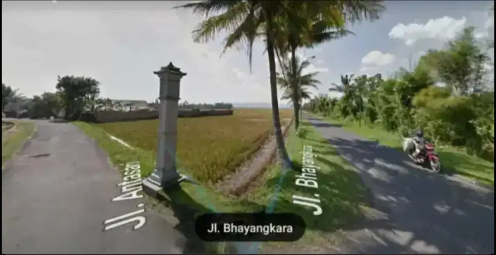 Dijual Tanah Sawah +- 4500 m², tanpa perantara, SHM