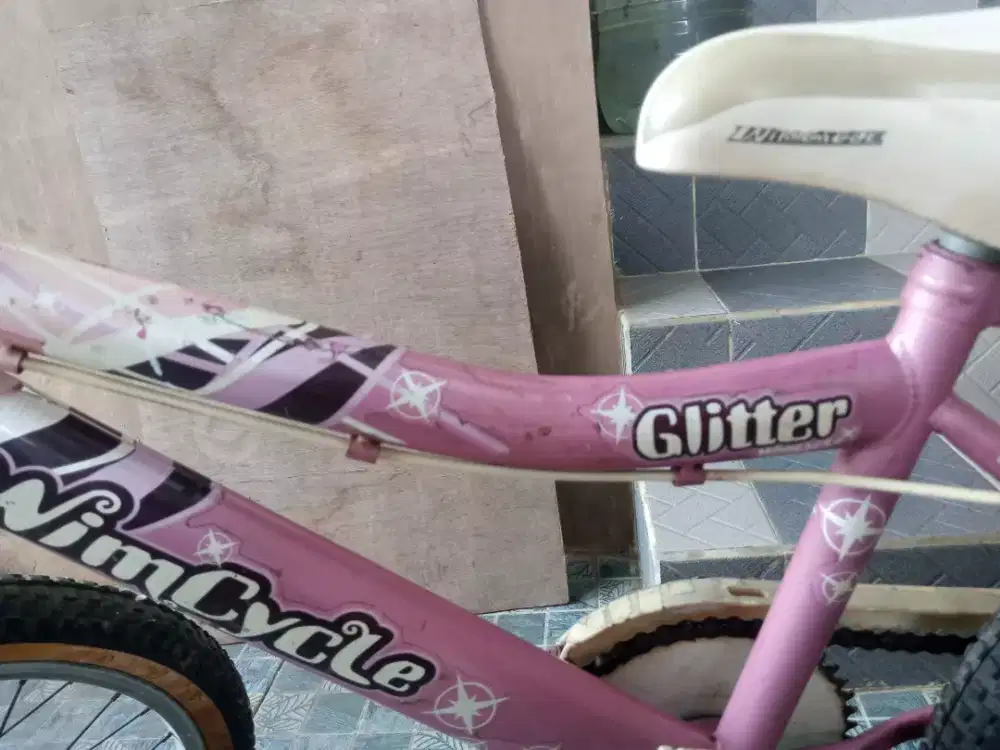 Sepeda anak Wim Cycle 20 inch