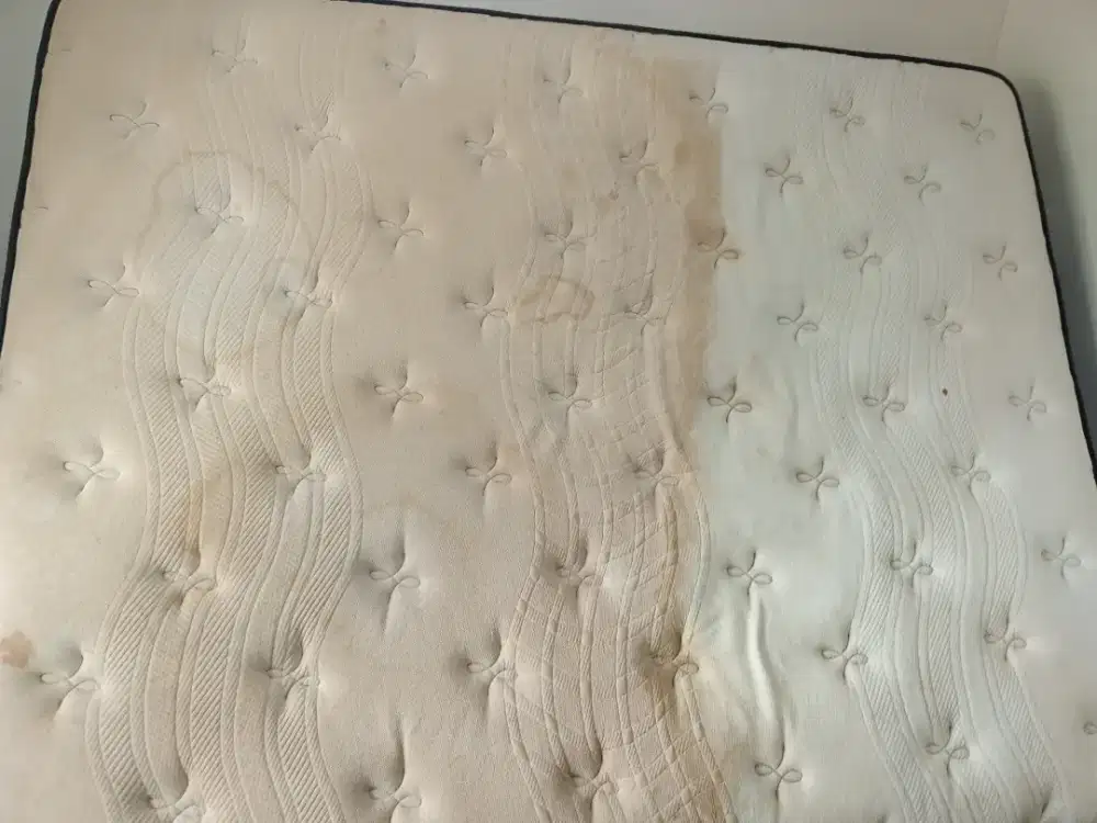 Jasa cuci kasur springbed sofa karpet jok mobil dll