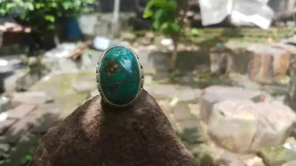 Pirus Persia Hijau Dondong