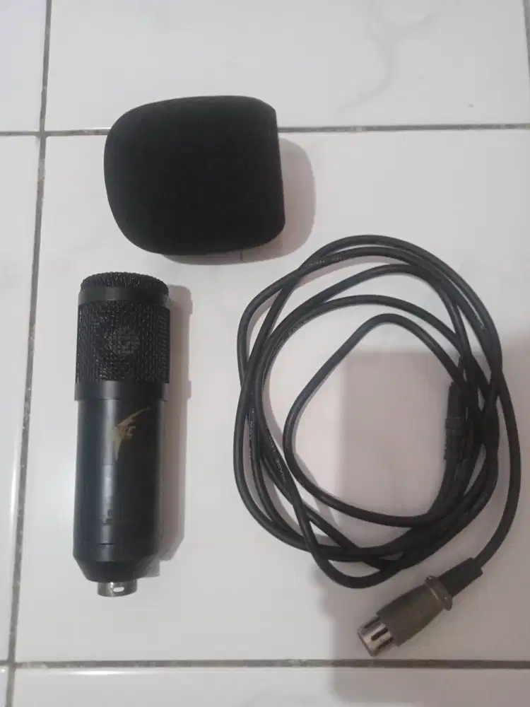 Mic Condenser & Stand Arm