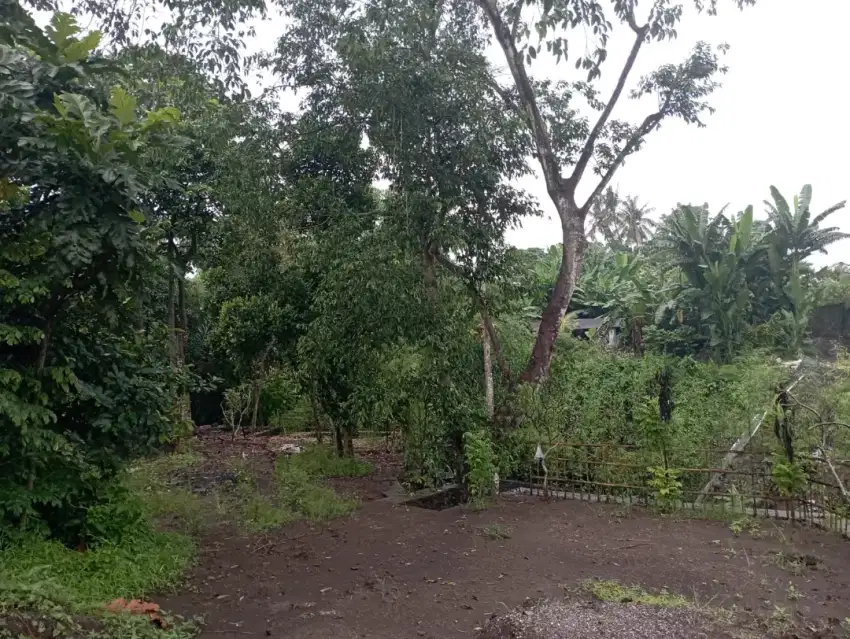 Kedungu Beach , 7 mnit ke Pantai