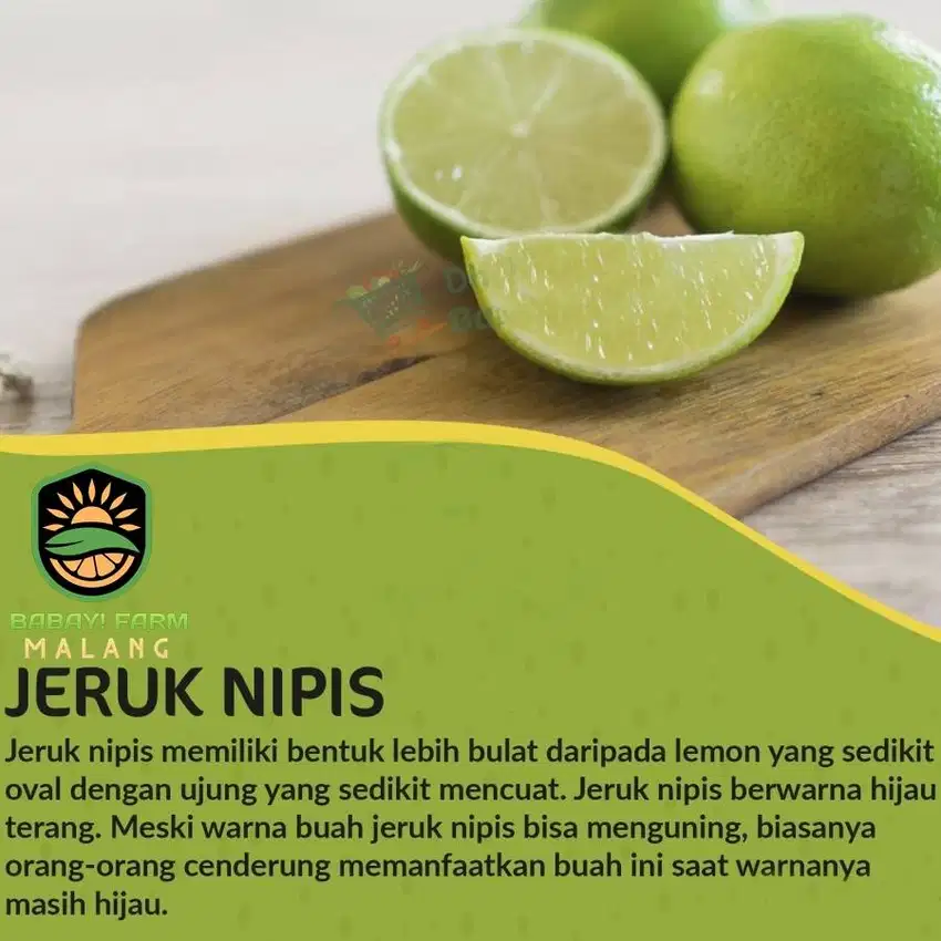 Buah Jeruk Nipis Pecel Segar / 250 500 gr 1 kg