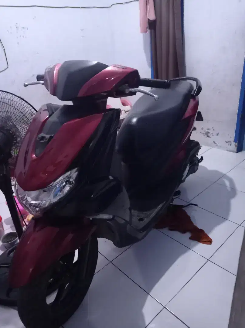 Freego 2019 good condition