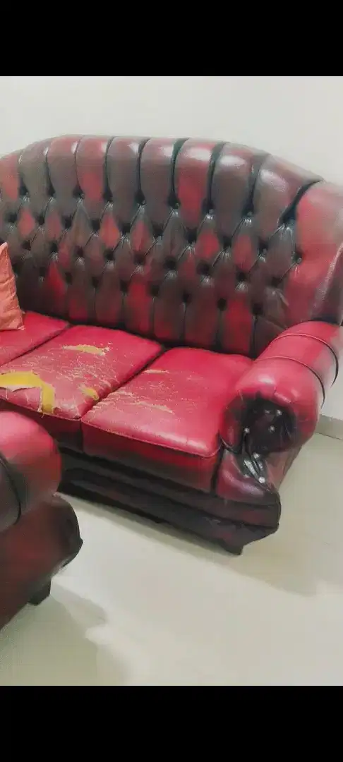 Sofa bekas tapi layak pakai