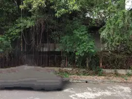 Rumah tua Karang Bolong Ancol 13x20m Hitung Tanah, murah sekali