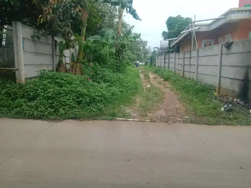 Luas tanah 15 haSurat shm dan AJBHarga 350rb/mPasir nangka
