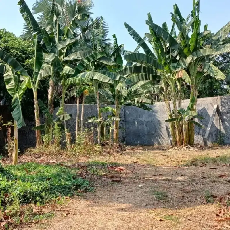 tanah termurah di Cibubur Cikeas BU grecep