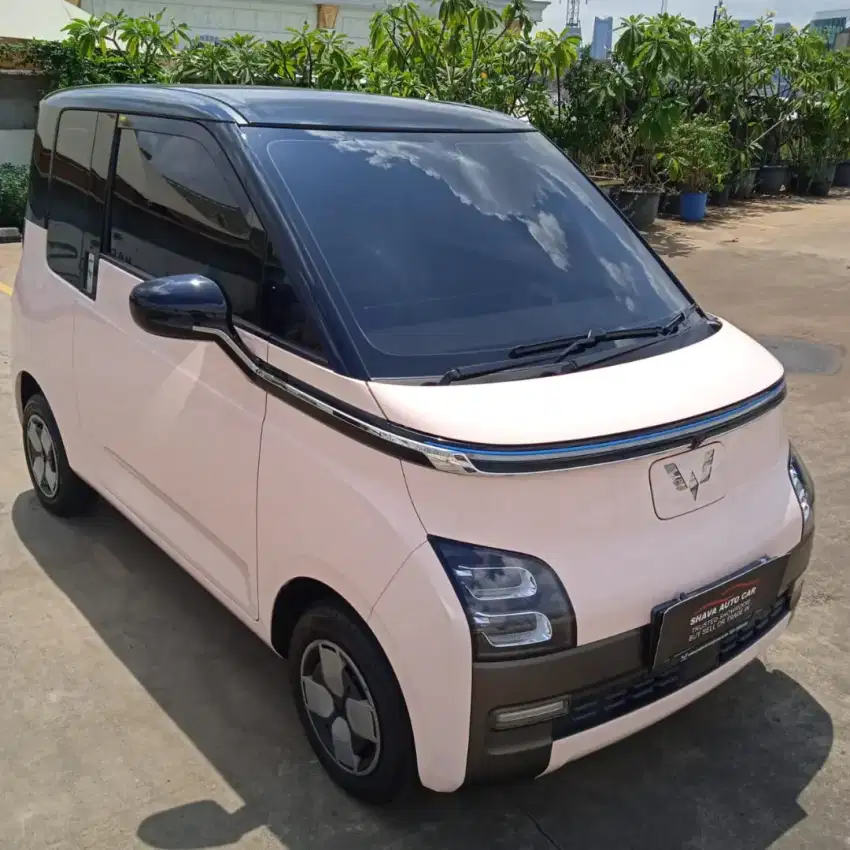 Wulling Air Ev Long Range 30KW AT 2022