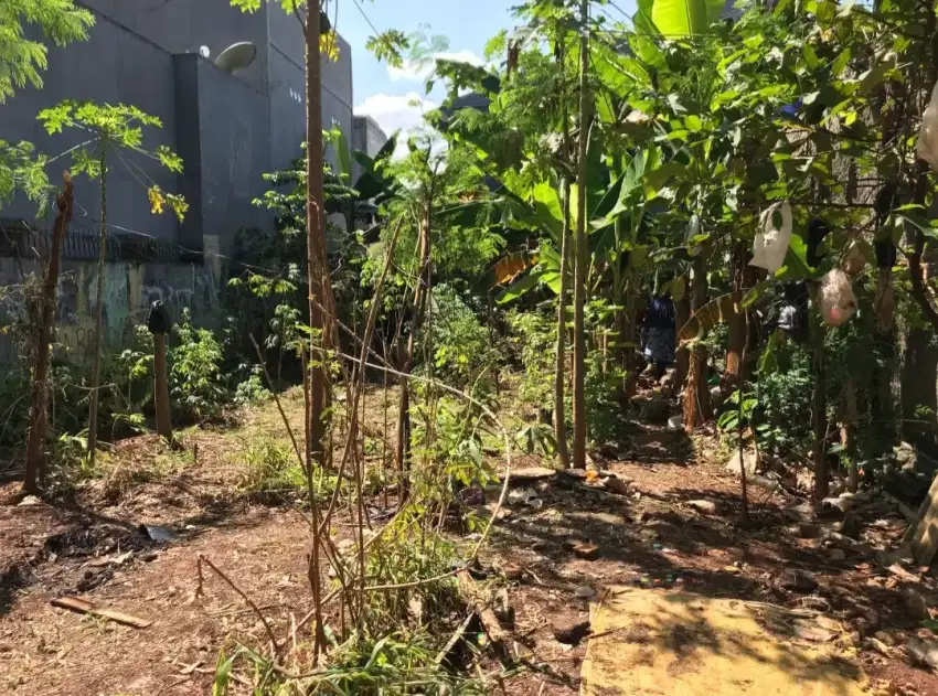 Tanah kebun jual butuh