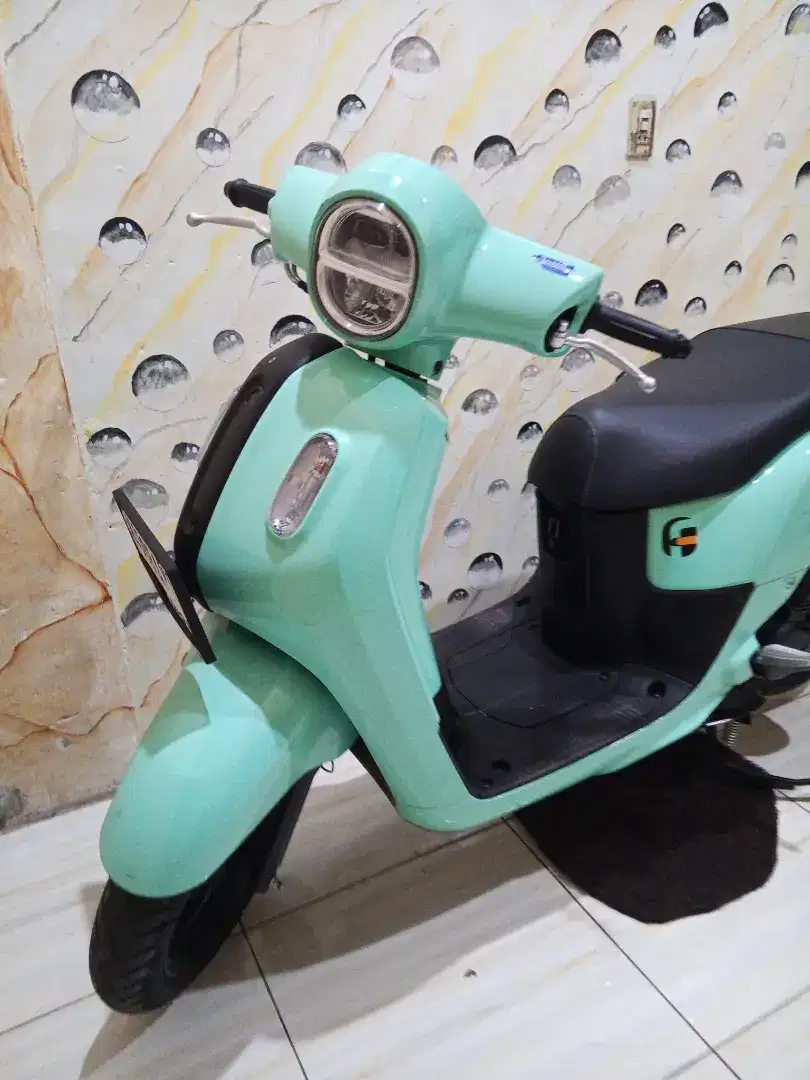 Fazzio neo cbs 2024