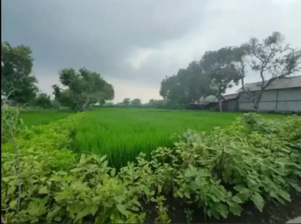 Dijual tanah strategis, bisa utk perumahan dan gudang