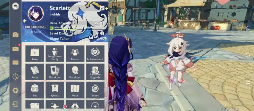 Akun pribadi Genhsin Impact Raiden main