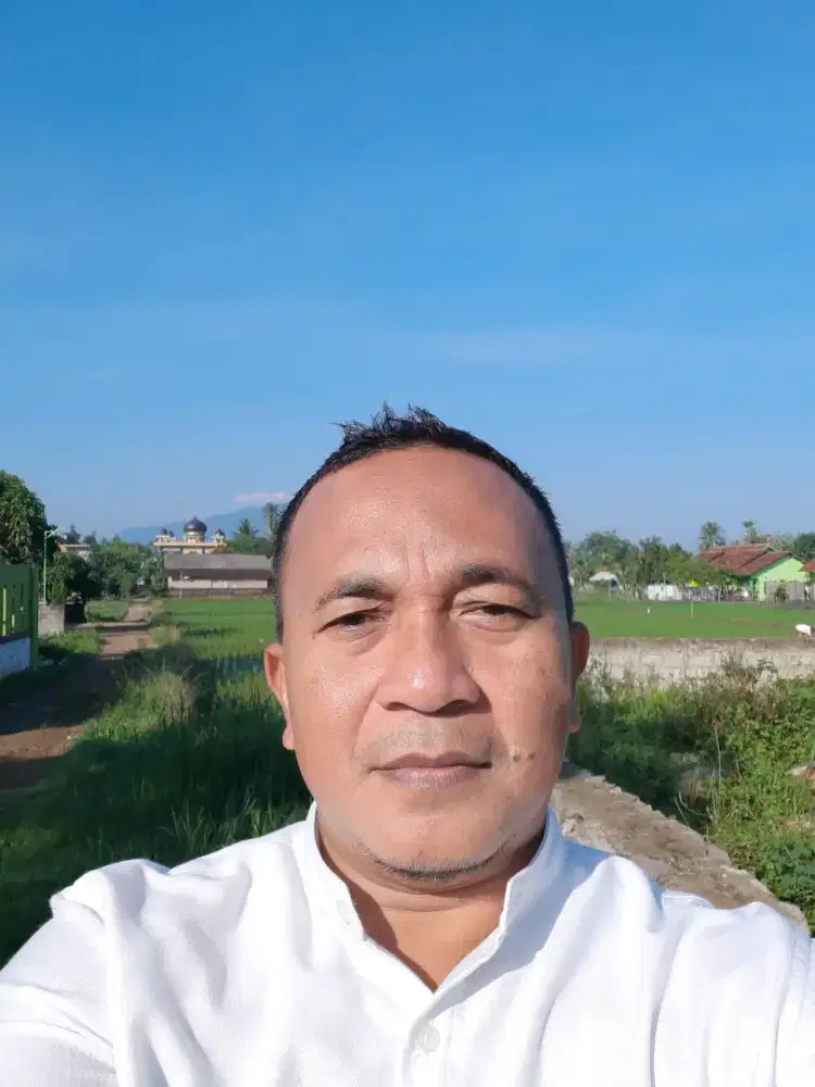 Driver freelance / Harian